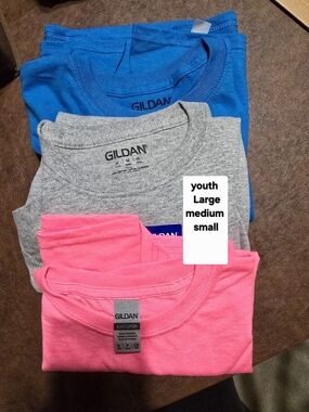 15 Short Sleeve Tees in Multi Colors.  Women, Mens And Youth. Round Or V neck